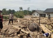 Aceh Darurat Bencana: 35 Meninggal, Ribuan Mengungsi