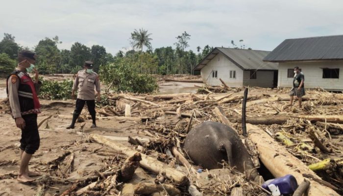 Aceh Darurat Bencana: 35 Meninggal, Ribuan Mengungsi