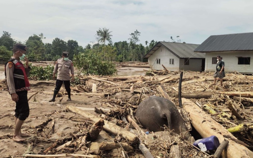 Aceh Darurat Bencana: 35 Meninggal, Ribuan Mengungsi