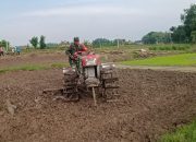 Dukung Ketahanan Pangan, Babinsa Ikut Membajak Sawah Warga