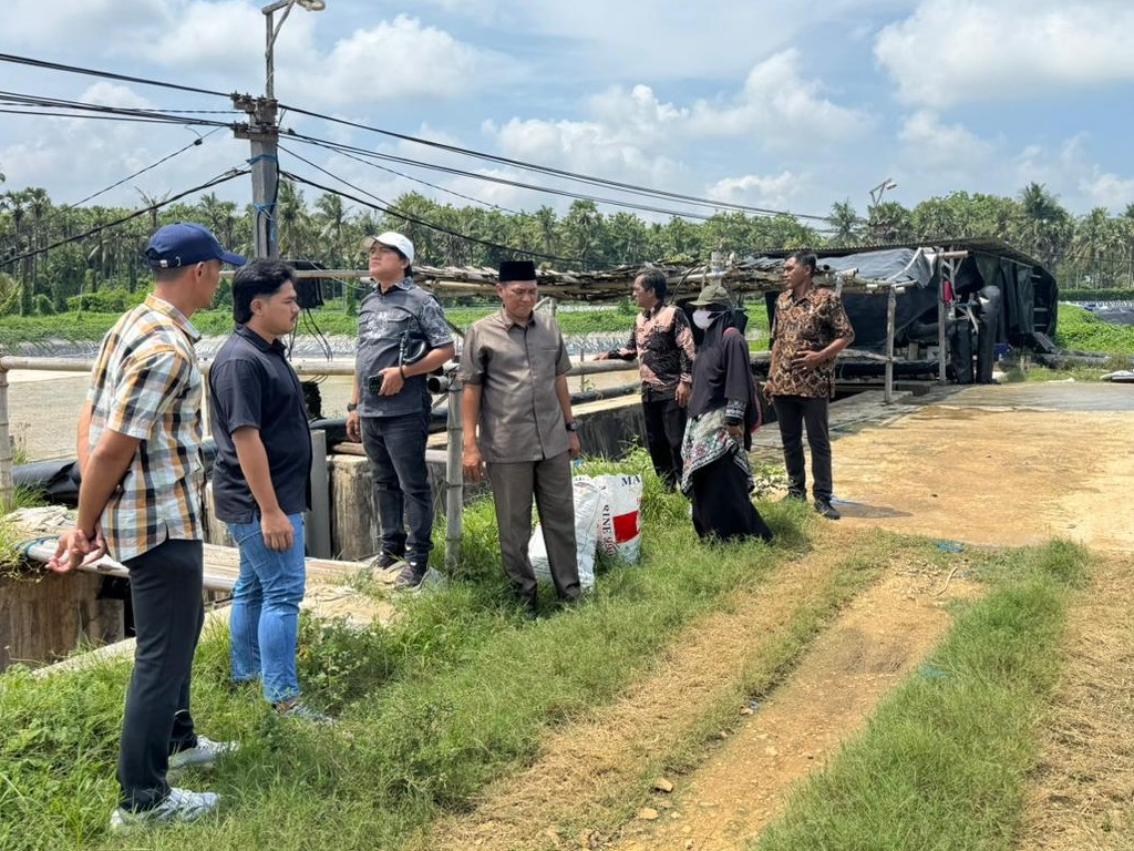 Borok Tambak Udang Terbongkar: Pansus DPRD Sumenep Siapkan Audit Total