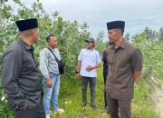 Pansus DPRD Sumenep Desak Pemkab Tutup Tambak Udang Bodong
