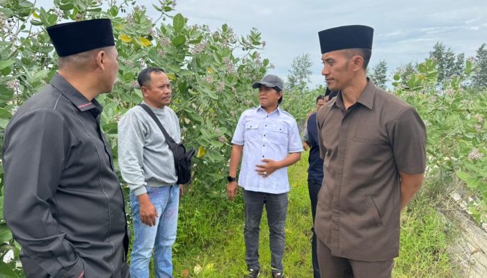 Pansus DPRD Sumenep Desak Pemkab Tutup Tambak Udang Bodong