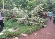 Puting Beliung Sapu Payudan Dundang, Atap Rumah dan Ponpes Rusak