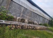 Proyek Irigasi P3TGAI Rp195 Juta di Kertasada Disorot, Mutu Dipertanyakan hingga Lokasi Dinilai Tak Tepat Sasaran