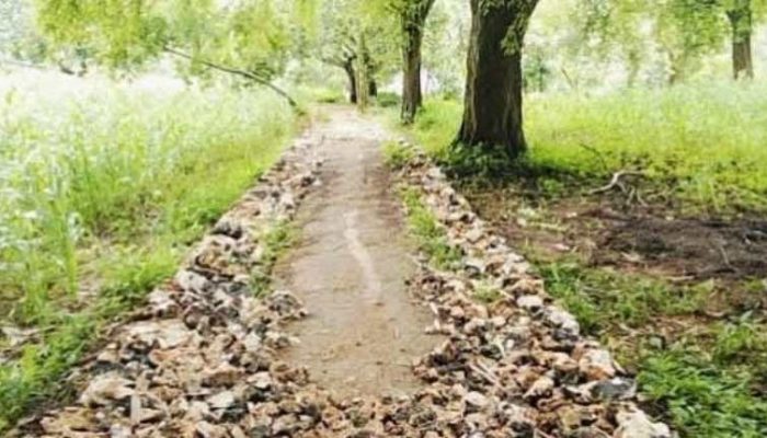 Proyek Jalan DD Rp215 Juta di Jaba’an Disorot Warga, Transparansi dan Kualitas Dipertanyakan
