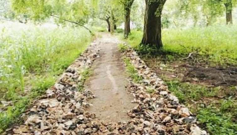 Proyek Jalan DD Rp215 Juta di Jaba’an Disorot Warga, Transparansi dan Kualitas Dipertanyakan