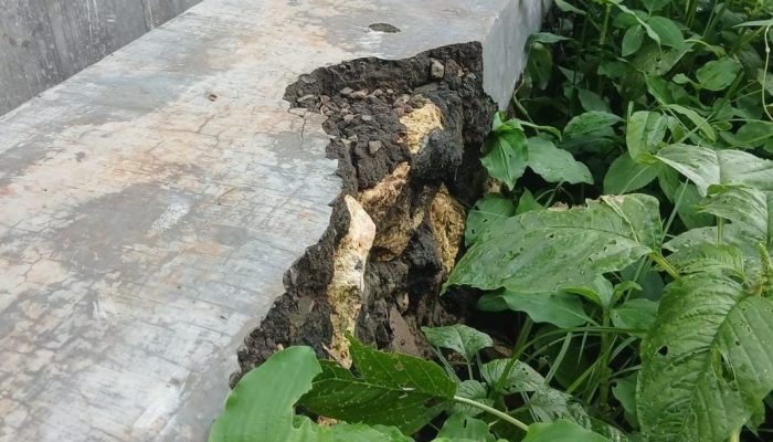 P3TGAI Tahap I 2025 Rp195 Juta Sudah Hancur, Bau Korupsi Menguat di Pamolokan