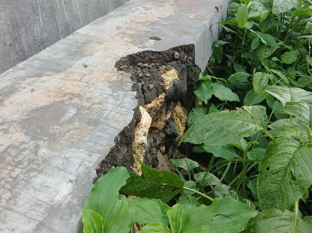 P3TGAI Tahap I 2025 Rp195 Juta Sudah Hancur, Bau Korupsi Menguat di Pamolokan