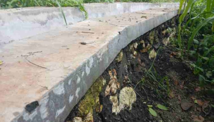 P3TGAI Rp195 Juta di Pamolokan Rusak, Pendamping dan Ketua HIPPA Bungkam