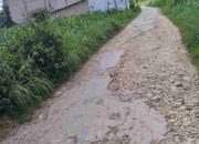 Jalan Rusak Dibiarkan, Ekonomi Warga Bataal Barat Tercekik