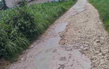 Jalan Rusak Dibiarkan, Ekonomi Warga Bataal Barat Tercekik