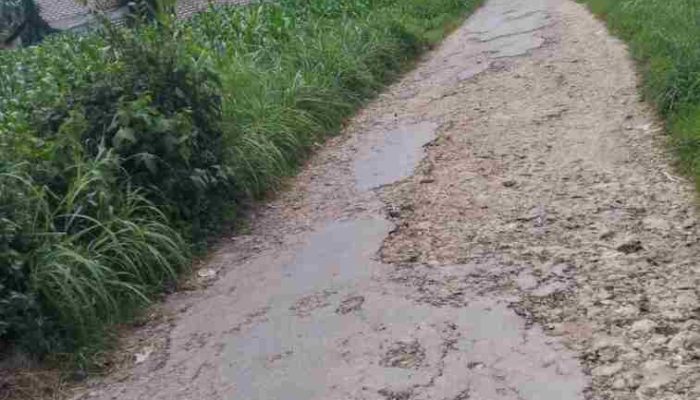 Jalan Rusak Dibiarkan, Ekonomi Warga Bataal Barat Tercekik