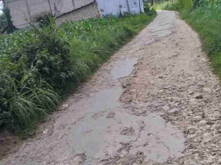 Jalan Rusak Dibiarkan, Ekonomi Warga Bataal Barat Tercekik