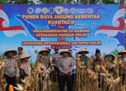 Polres Pamekasan Turun ke Sawah, Panen Jagung Bareng Petani Demi Jaga Ketahanan Pangan