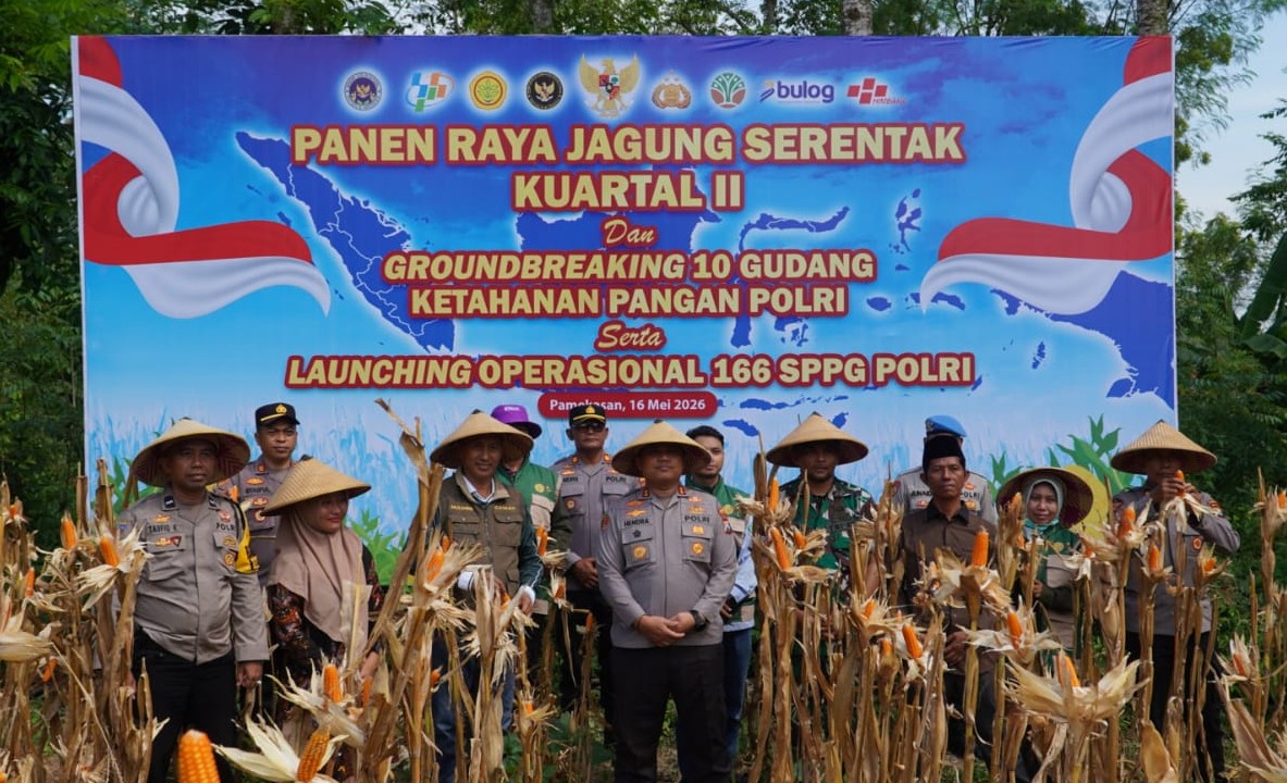 Polres Pamekasan Turun ke Sawah, Panen Jagung Bareng Petani Demi Jaga Ketahanan Pangan