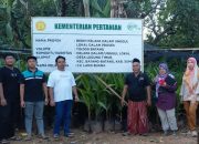 Hilirisasi Kelapa Mulai Bergerak di Sumenep 56 Ribu Bibit Bersertifikat Disiapkan, Peluang Industri Turunan Kian Terbuka