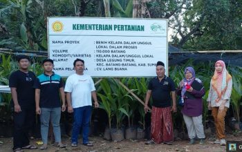 Hilirisasi Kelapa Mulai Bergerak di Sumenep 56 Ribu Bibit Bersertifikat Disiapkan, Peluang Industri Turunan Kian Terbuka