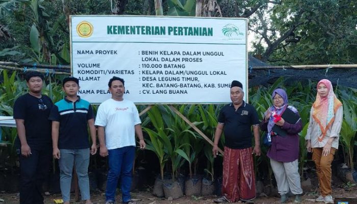 Hilirisasi Kelapa Mulai Bergerak di Sumenep 56 Ribu Bibit Bersertifikat Disiapkan, Peluang Industri Turunan Kian Terbuka